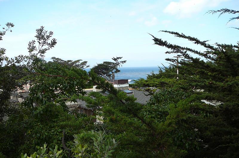 Carmel 10-30-08 031.jpg